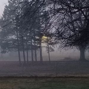 Meet your Posher, Florence